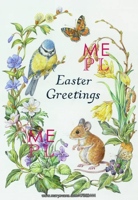 : Easter Greetings 'Blue Tit, Mouse, Butterflies : Easter Greetings 'Blue Tit, Mouse, Butterflies