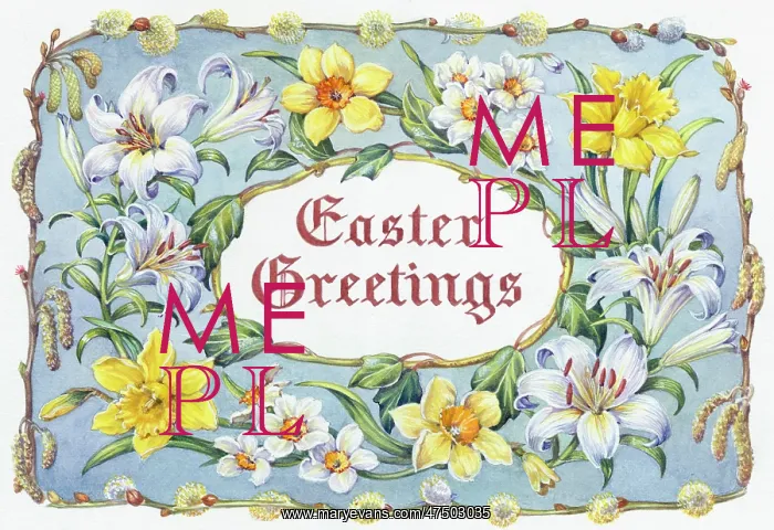 : Easter Greetings with madonna lilies, daffodils : Easter Greetings with madonna lilies, daffodils