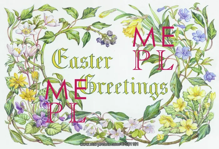 : Easter Greetings with spring flowers : Easter Greetings with spring flowers