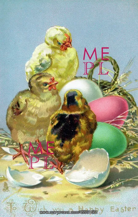 : Easter Greetings - Yellow chicks and colourful eggs : Easter Greetings - Yellow chicks and colourful eggs
