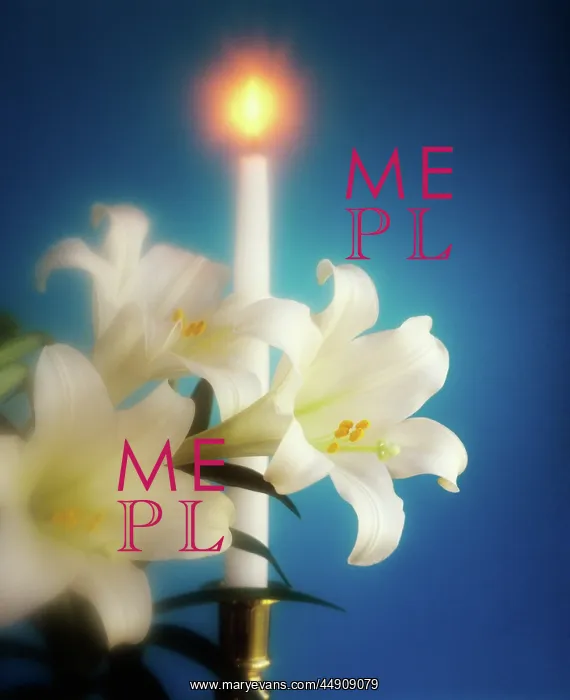 : Easter Lilies and White Candle Soft Focus : Easter Lilies and White Candle Soft Focus
