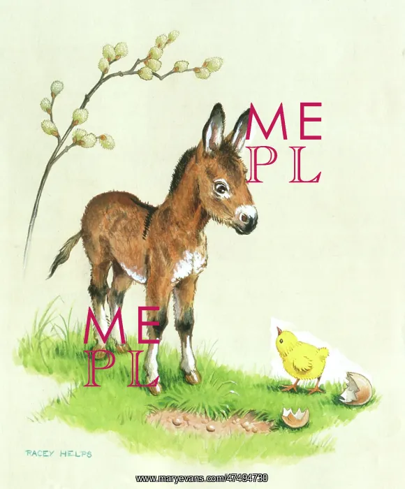 : An Easter Meeting - young donkey and chick : An Easter Meeting - young donkey and chick