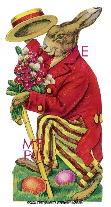 : Easter Rabbit Clothed : Easter Rabbit Clothed