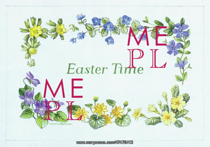 : Easter Time Border ? with primroses etc : Easter Time Border ? with primroses etc