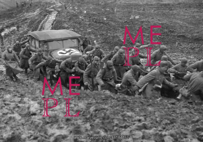 : Eastern Front, 1941 : Eastern Front, 1941