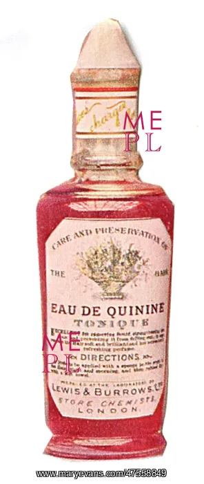 : Eau de Quinine Tonique : Eau de Quinine Tonique