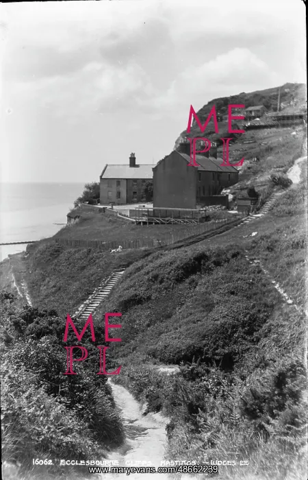 : Ecclesbourne Cliffs, Hastings : Ecclesbourne Cliffs, Hastings