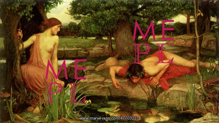 : Echo and Narcissus, by J W Waterhouse : Echo and Narcissus, by J W Waterhouse