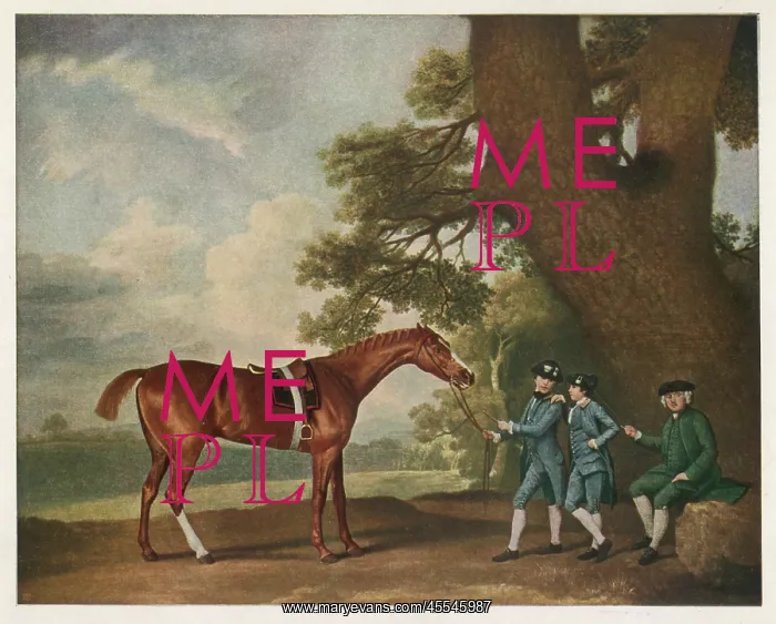 : Eclipse. Great-grandson of Darley Arabian, raced 1769-1770 in 18 races : Eclipse. Great-grandson of Darley Arabian, raced 1769-1770 in 18 races