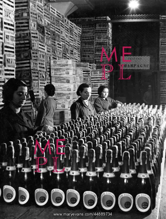 : EDECAN CHAMPAGNE : EDECAN CHAMPAGNE