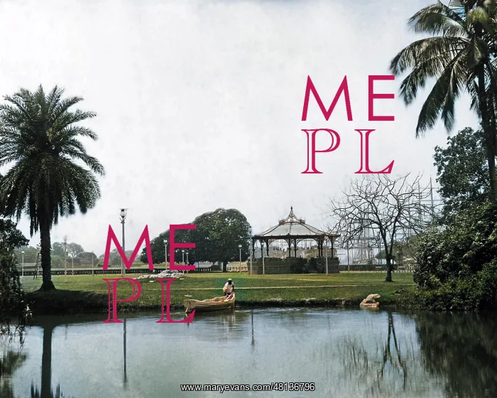 : Eden Gardens, Calcutta, India : Eden Gardens, Calcutta, India