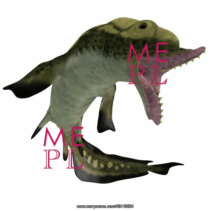  : Edestus shark of the Carboniferous period