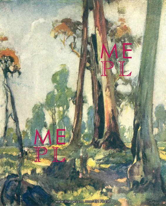 : The Edge Of The Bush : The Edge Of The Bush