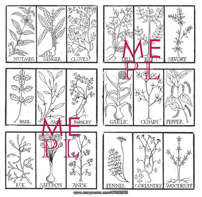  : Edible herbs