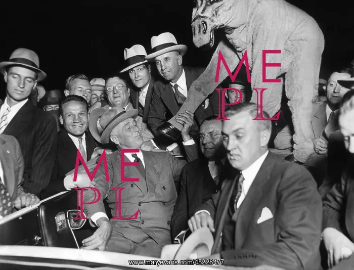 : Edith Roosevelt, the elderly widow of President ? : Edith Roosevelt, the elderly widow of President ?