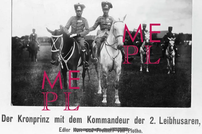 : Edler Herr and Baron von Plotho together with : Edler Herr and Baron von Plotho together with