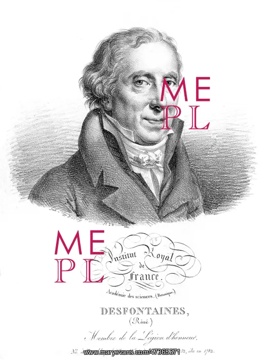 : EDME COMTE DESFOURNEAUX : EDME COMTE DESFOURNEAUX