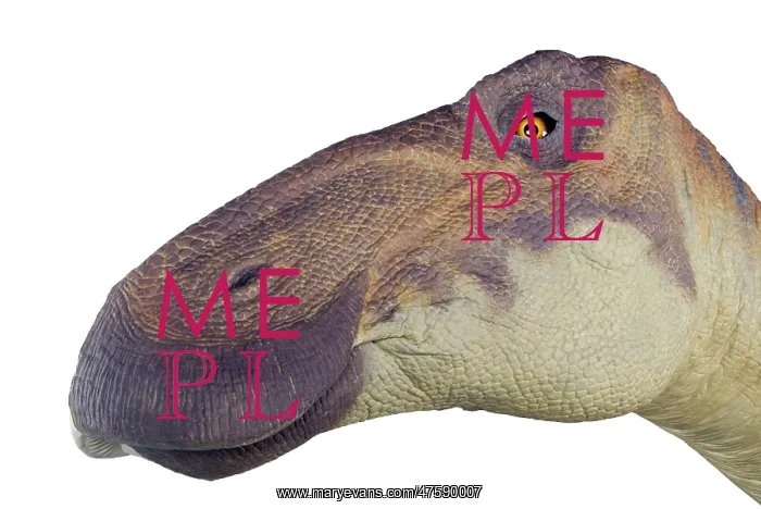 : Edmontosaurus : Edmontosaurus