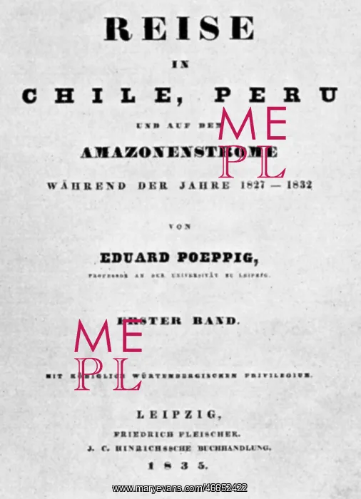 : Eduard Friedrich Poppig : Eduard Friedrich Poppig