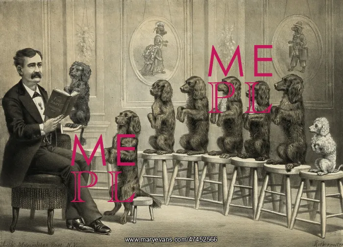  : Educated dogs