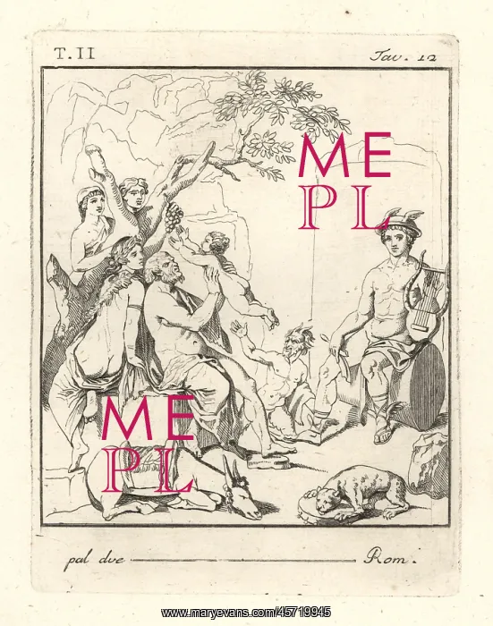 : The education of Bacchus : The education of Bacchus