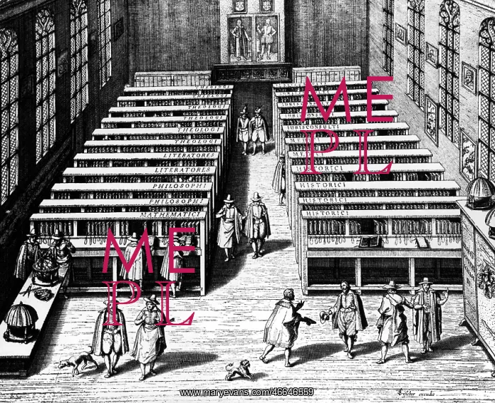: education, university, Leiden, library, copper : education, university, Leiden, library, copper