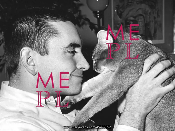 : Edward Albee, ca. 1963. ? : Edward Albee, ca. 1963. ?