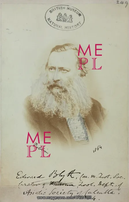: Edward Blyth (1810-1873) : Edward Blyth (1810-1873)