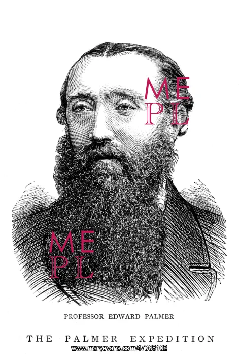 : EDWARD PALMER : EDWARD PALMER