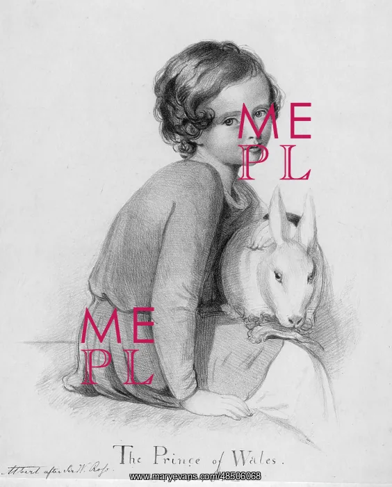 : Edward Prince of Wales with pet rabbit : Edward Prince of Wales with pet rabbit