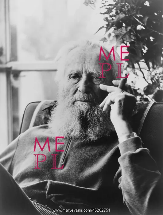 : Edward Steichen (1879-1973), the famous ? : Edward Steichen (1879-1973), the famous ?