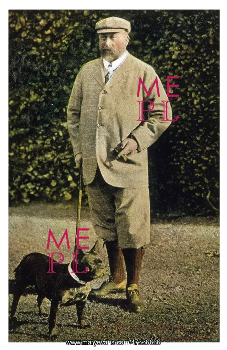  : EDWARD VII AND BULLDOG