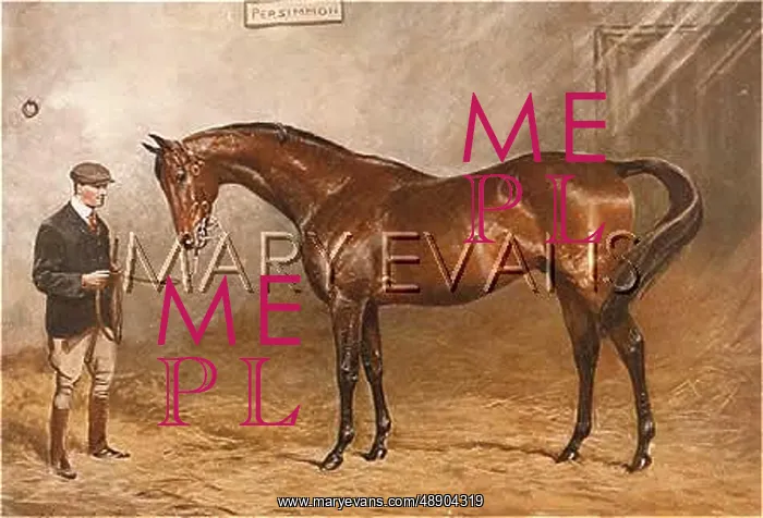  : EDWARD VII / HORSE 1896