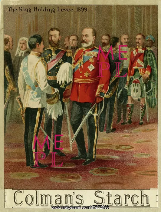 : EDWARD VII / LEVEE 1899 : EDWARD VII / LEVEE 1899
