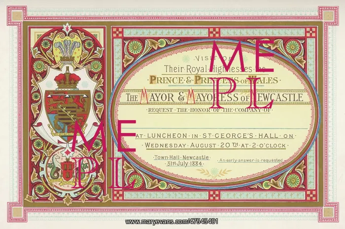 : EDWARD VII / NEWCASTLE 84 : EDWARD VII / NEWCASTLE 84