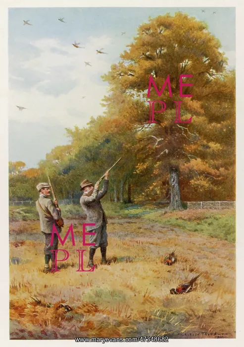 : EDWARD VII SHOOTING : EDWARD VII SHOOTING