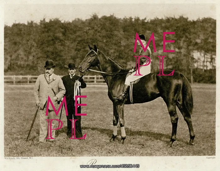  : EDWARD VII W /  PERSIMMON