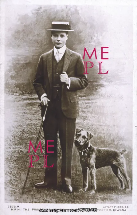 : EDWARD VIII / DOG GWEN 10 : EDWARD VIII / DOG GWEN 10