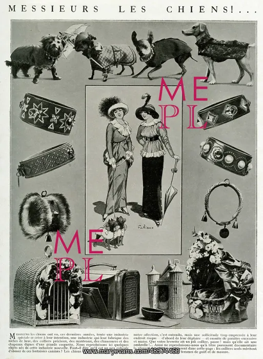  : Edwardian accessories for dogs 1912