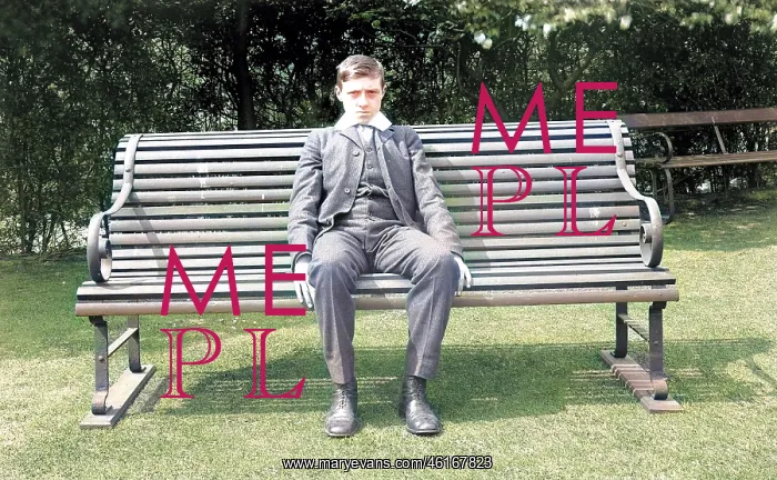 : Edwardian boy : Edwardian boy