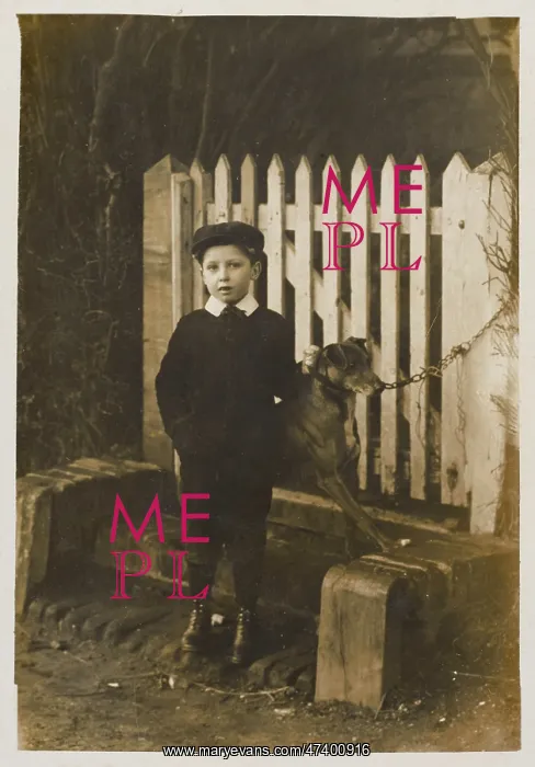 : EDWARDIAN BOY AND DOG : EDWARDIAN BOY AND DOG