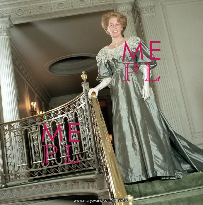 : EDWARDIAN EVENING DRESS : EDWARDIAN EVENING DRESS