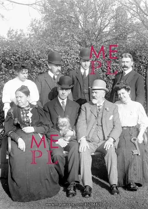 : Edwardian group : Edwardian group