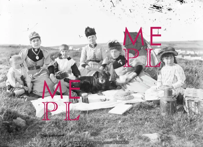 : Edwardian group enjoying a picnic : Edwardian group enjoying a picnic