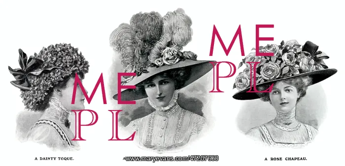 : Edwardian hats using floral decorations 1909 : Edwardian hats using floral decorations 1909