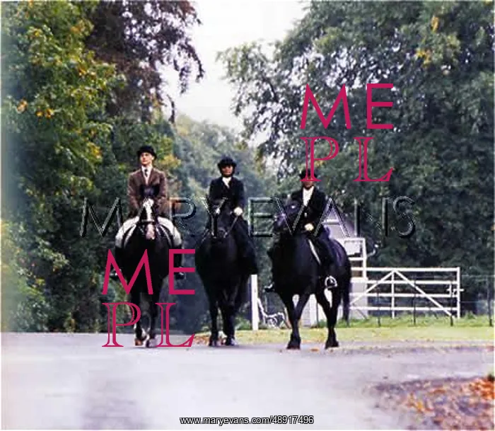: EDWARDIAN HORSERIDING : EDWARDIAN HORSERIDING