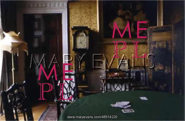 : EDWARDIAN INTERIOR : EDWARDIAN INTERIOR