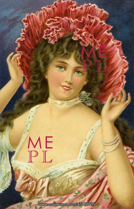 : Edwardian lady : Edwardian lady