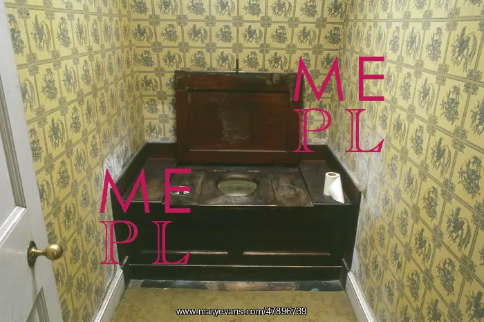 : EDWARDIAN LAVATORY : EDWARDIAN LAVATORY