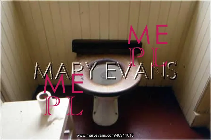 : EDWARDIAN LAVATORY : EDWARDIAN LAVATORY